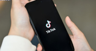 cara daftar Affiliate TikTok