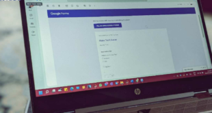 Cara Download Jawaban di Google Form