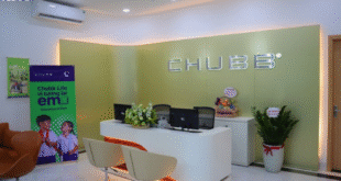 cara mengetahui nomor polis Chubb Life
