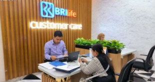 cara cek saldo asuransi bri life